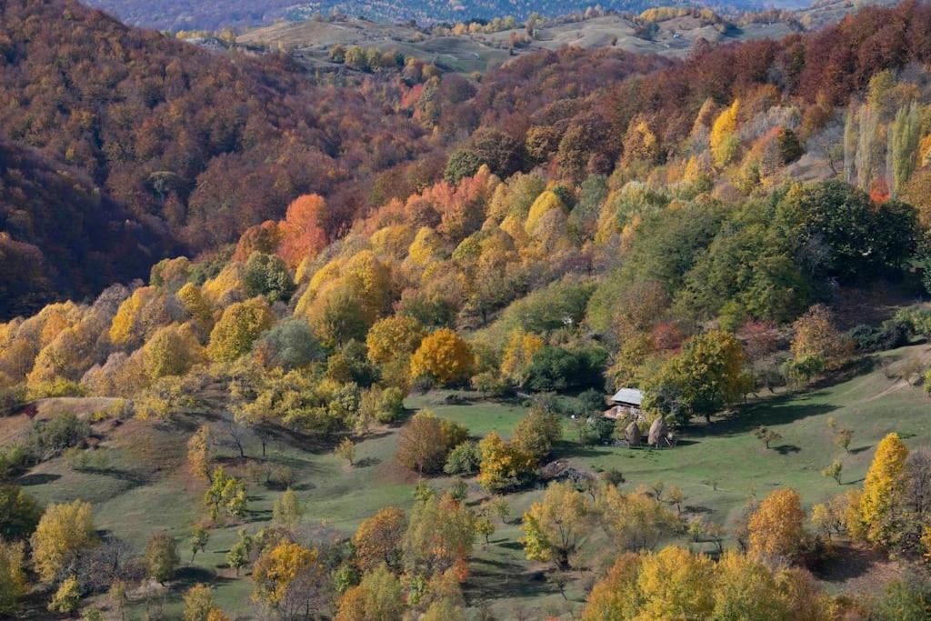 Valley View Breaza Buitenkant foto